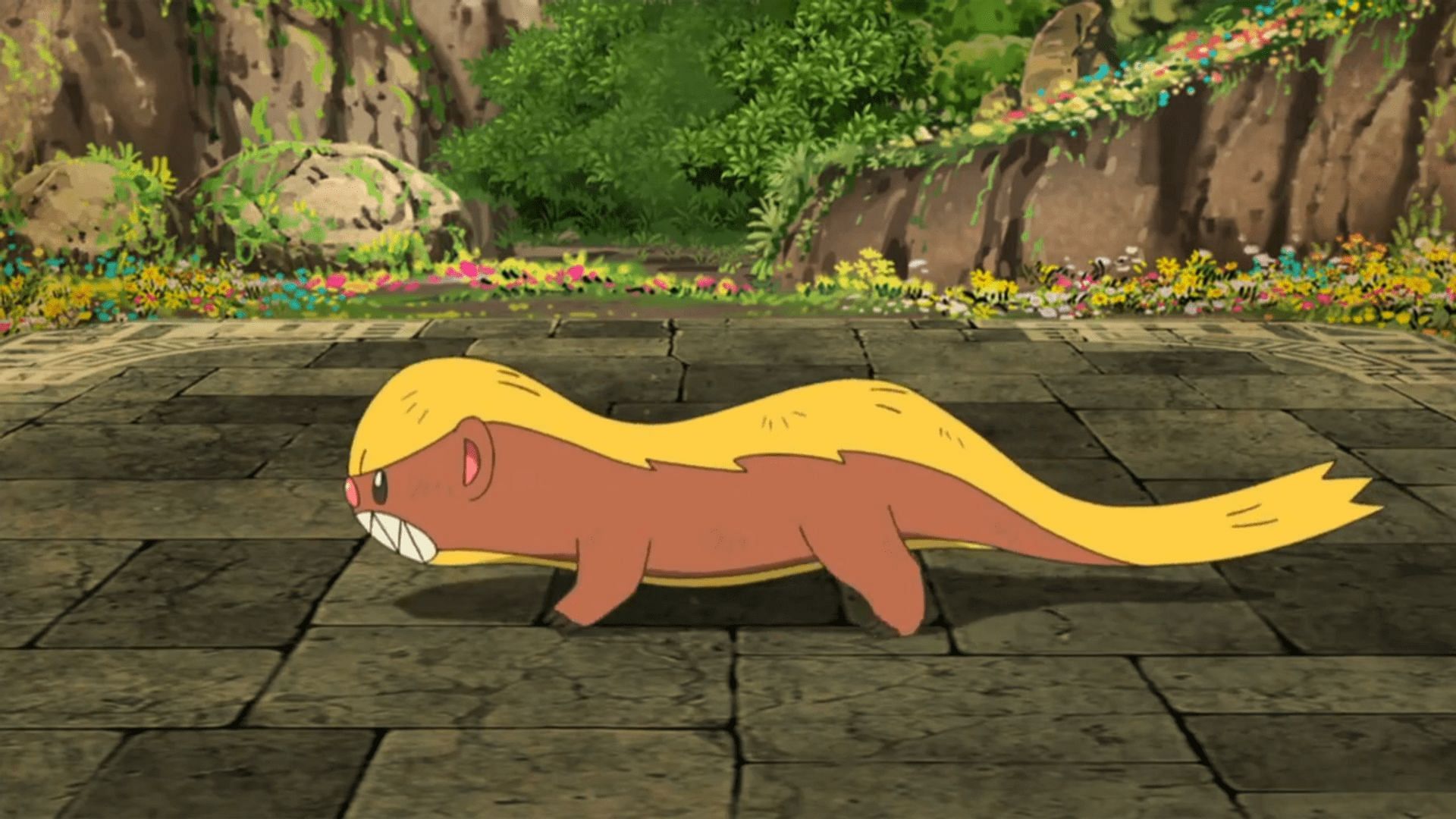 Yungoos as it appears in the anime (Image via The Pokemon Company)