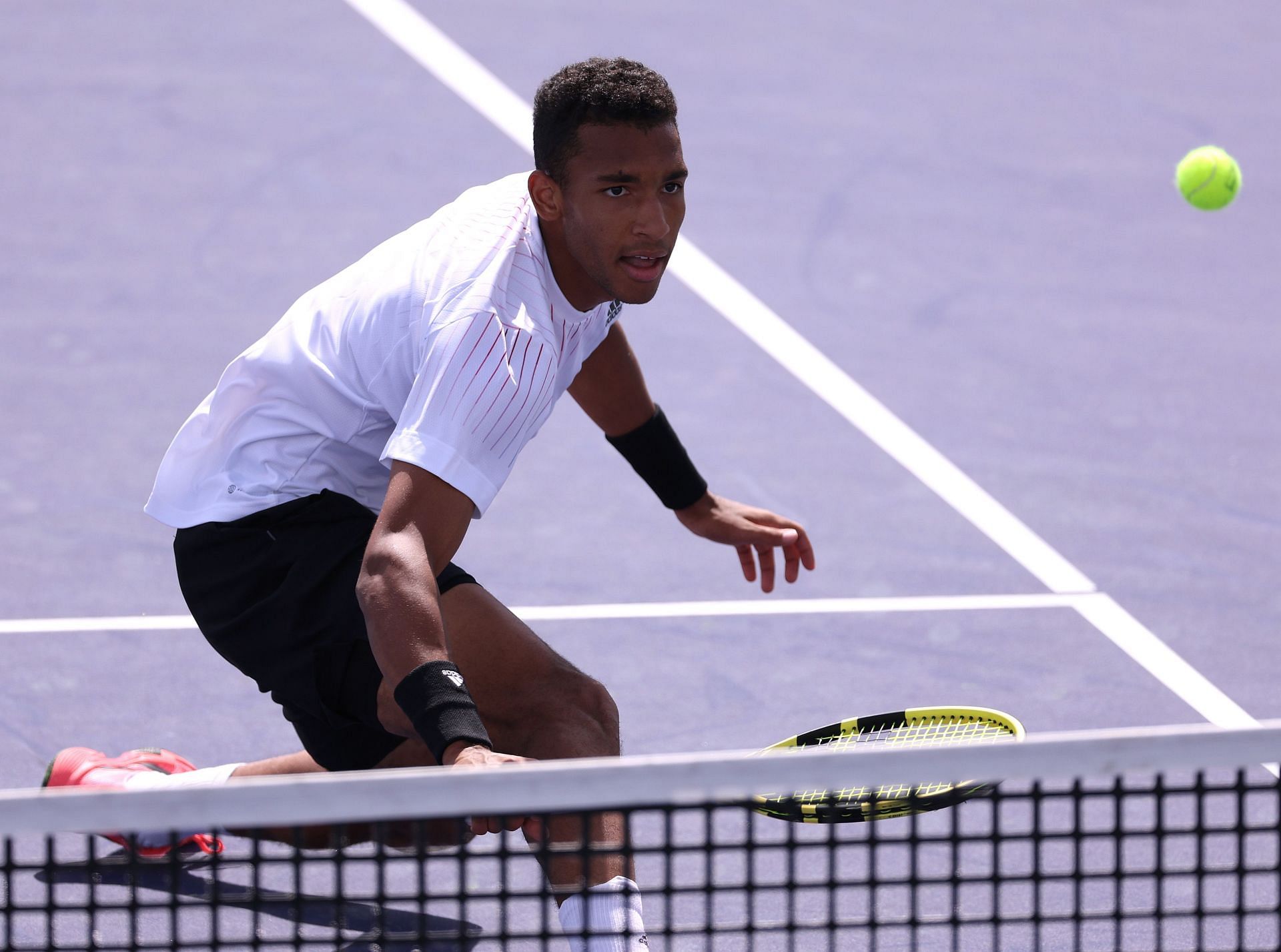 Auger-Aliassime has won 15 out of 20 matches this year so far
