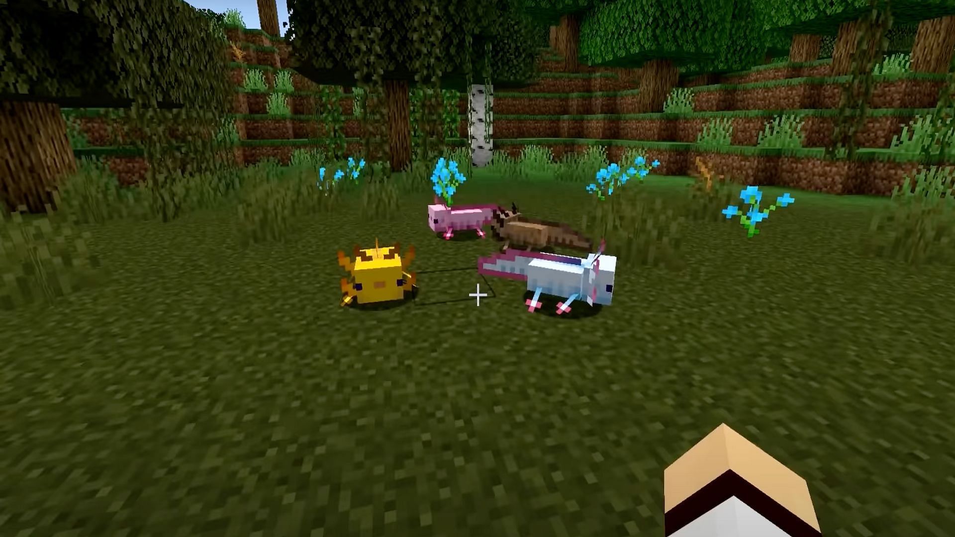Axolotls are a cute but elusive mob in Minecraft that can attack other mobs and follow the player around (Image via iDeactivateMC/YouTube)