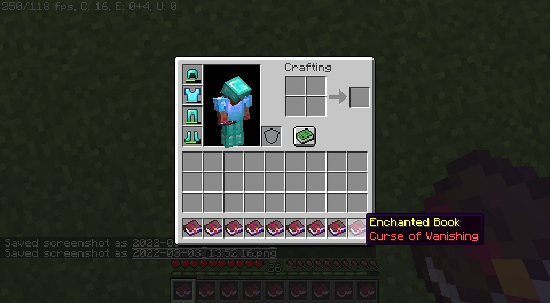 Curse of Vanishing (Image via Mojang)