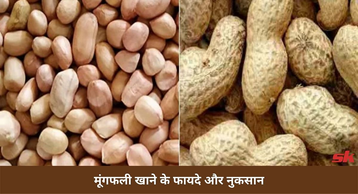 मूंगफली खाने के फायदे और नुकसान(फोटो-Sportskeeda hindi)