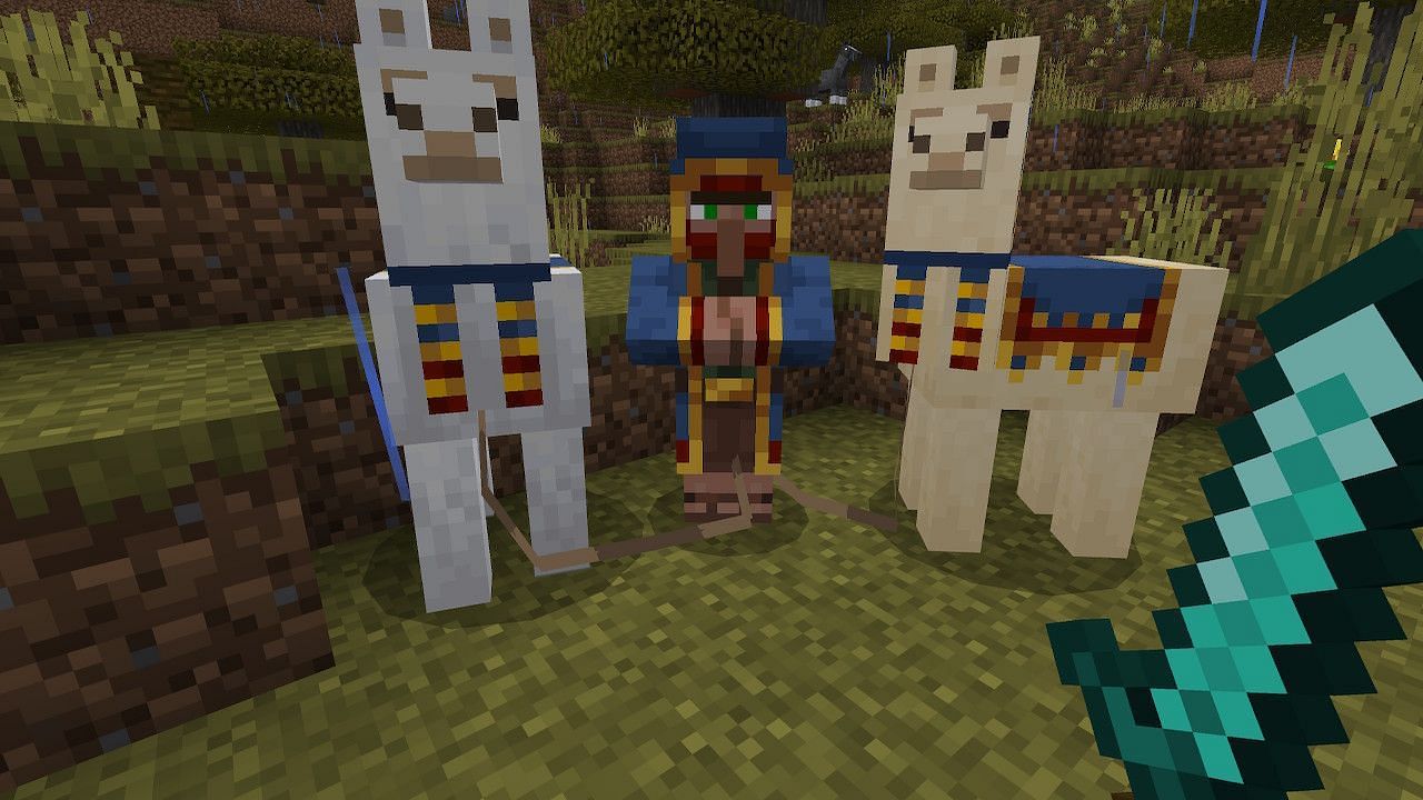Wandering traders can offer many fine products, including cocoa beans (Image via Minecraft)
