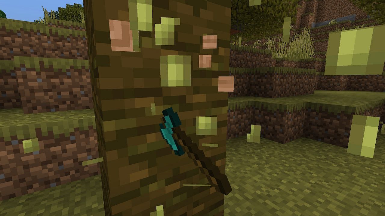 Using an axe is the fastest way for the player to harvest cocoa pods (Image via Minecraft)