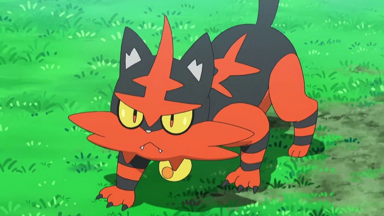 Torracat, Litten&#039;s first evolution, as it appears in the anime (Image via The Pokemon Company)