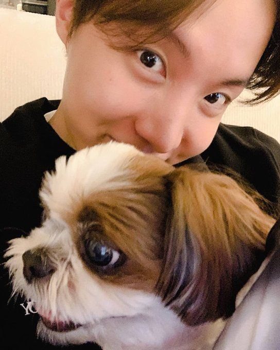 BTS members and their super adorable pets