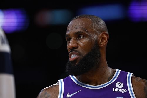 LeBron James looks on at the LA Lakers game