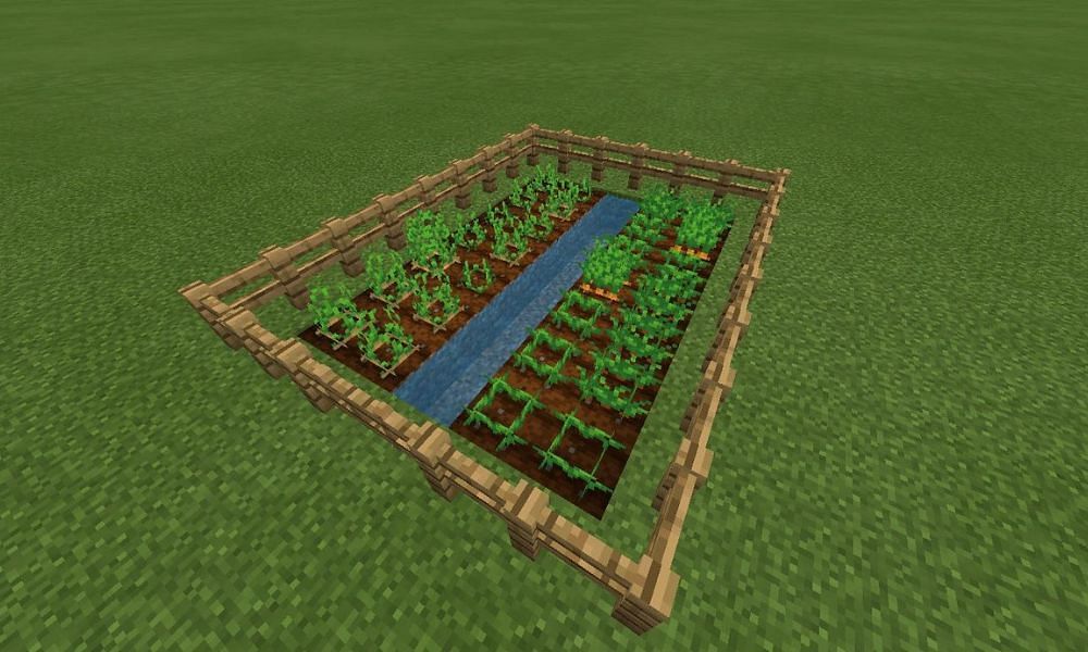 Simple farm (Image via Minecraft Wiki)