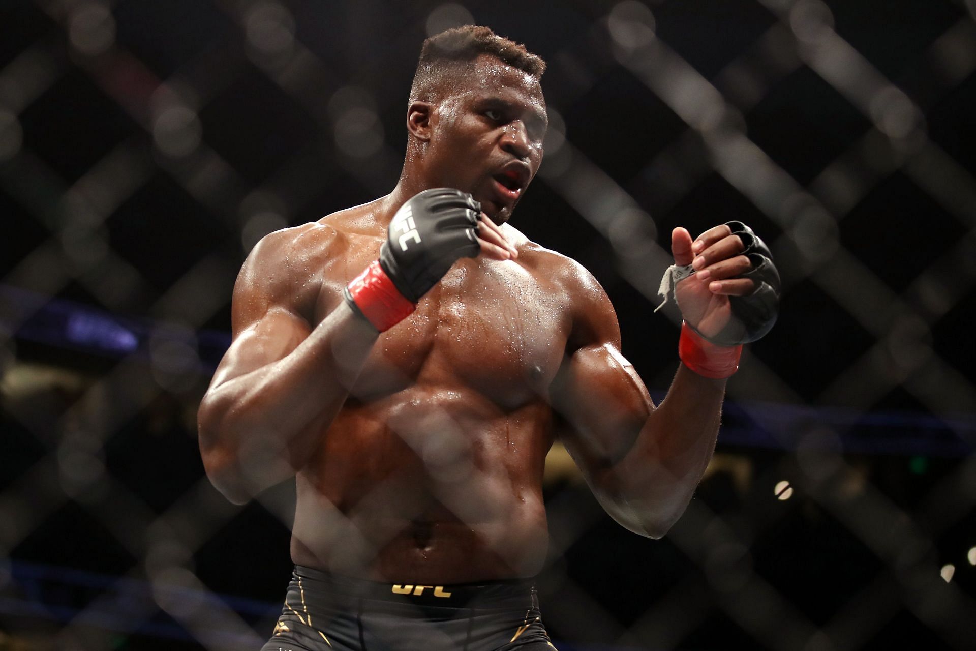 UFC heavyweight champion Francis Ngannou