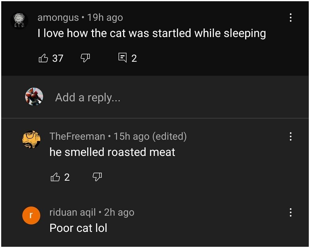 Even Imane&#039;s cat got some love in this particular comment section (Image via YouTube)