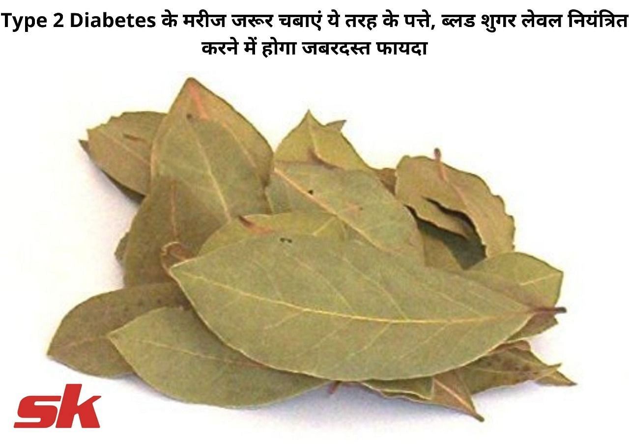 Type 2 Diabetes के मरीज जरूर चबाएं ये तरह के पत्ते, ब्लड शुगर लेवल नियंत्रित करने में होगा जबरदस्त फायदा (फोटो - sportskeeda hindi)
