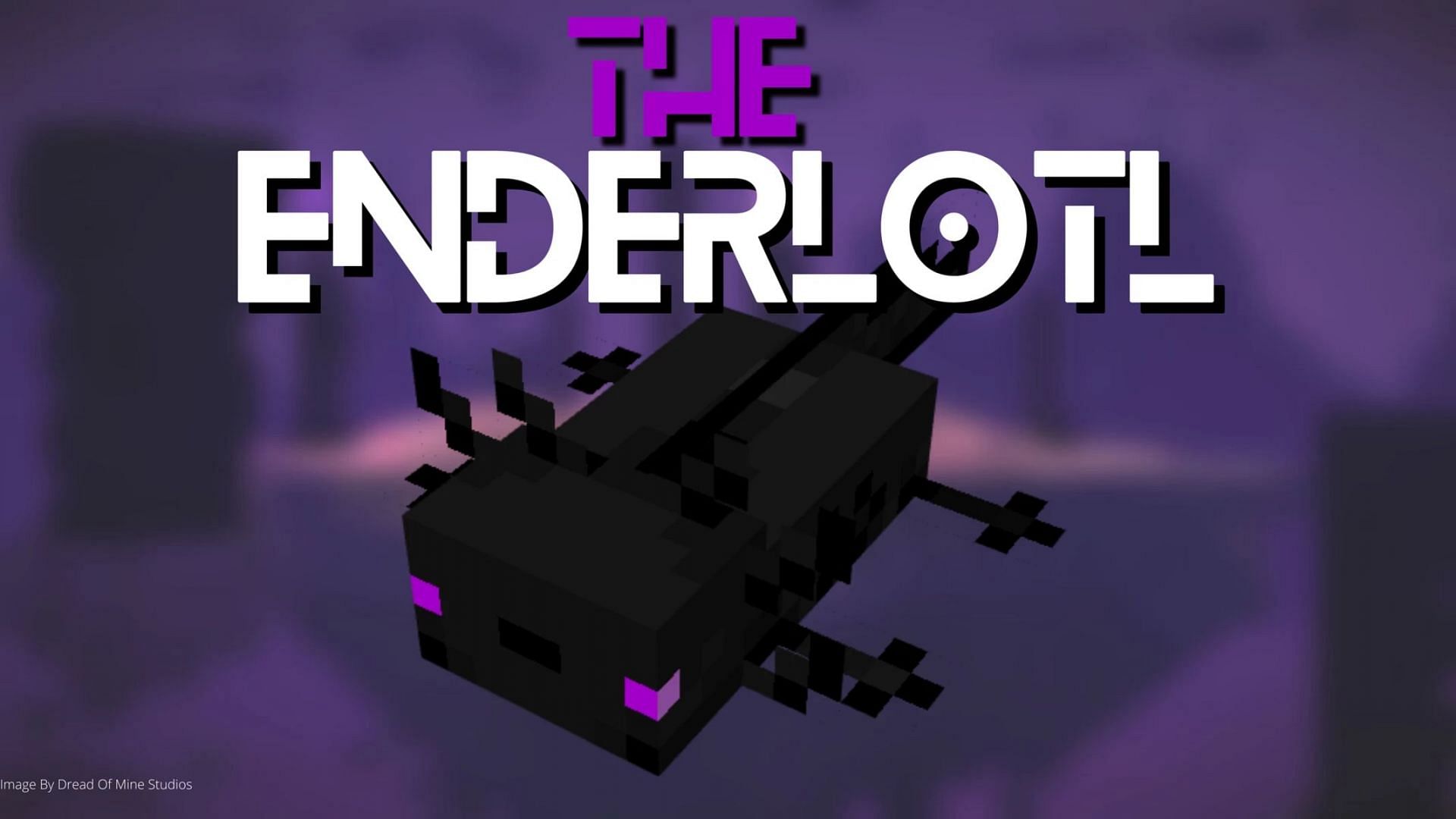 Sadly, this Enderman-themed axolotl can&#039;t teleport (Image via Dread of Mine Studios/PlanetMinecraft)