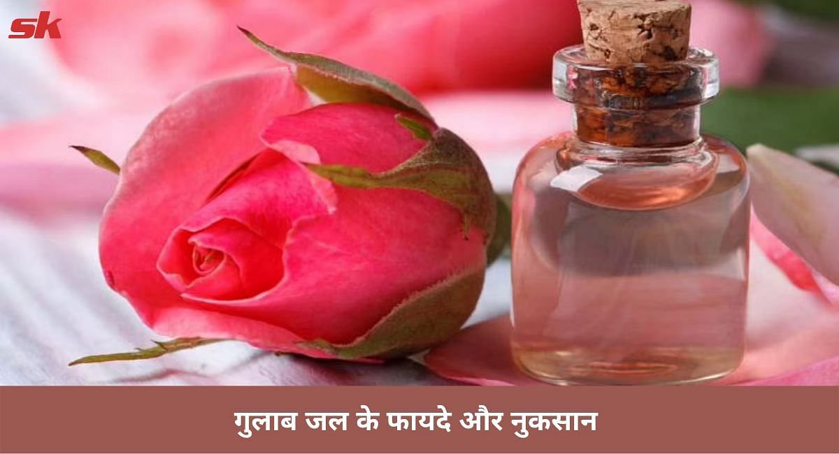 गुलाब जल के फायदे और नुकसान(फोटो-Sportskeeda hindi)