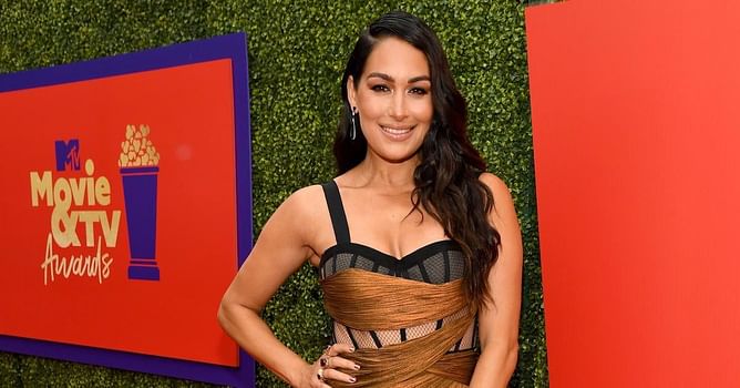 WWE Hall of Famer Brie Bella was backstage at AEW Dynamite