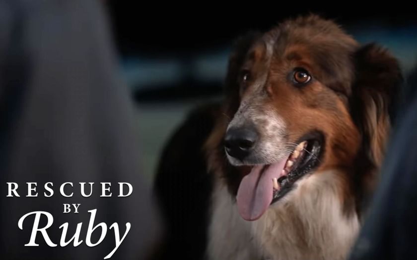 When will Rescued by Ruby air on Netflix? Release date, trailer and