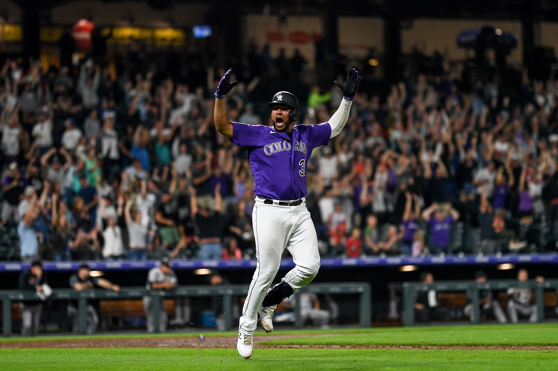 Colorado Rockies celebrate