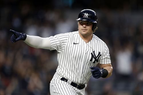 Luke Voit celebrates hitting a home run against the Boston Red Sox at Yankee Stadium