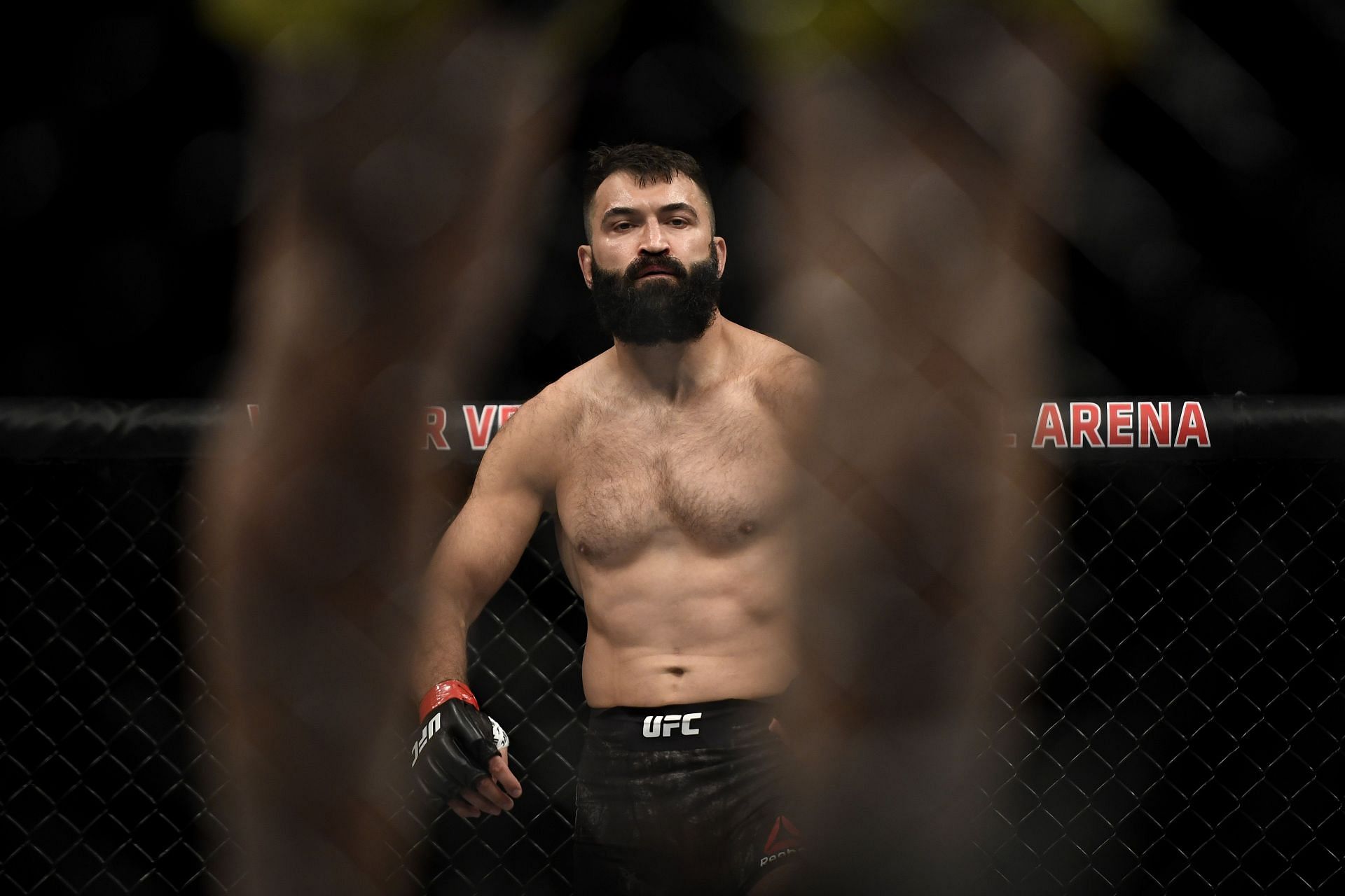Andrei Arlovski holds a record of 33-20 (2 NC)