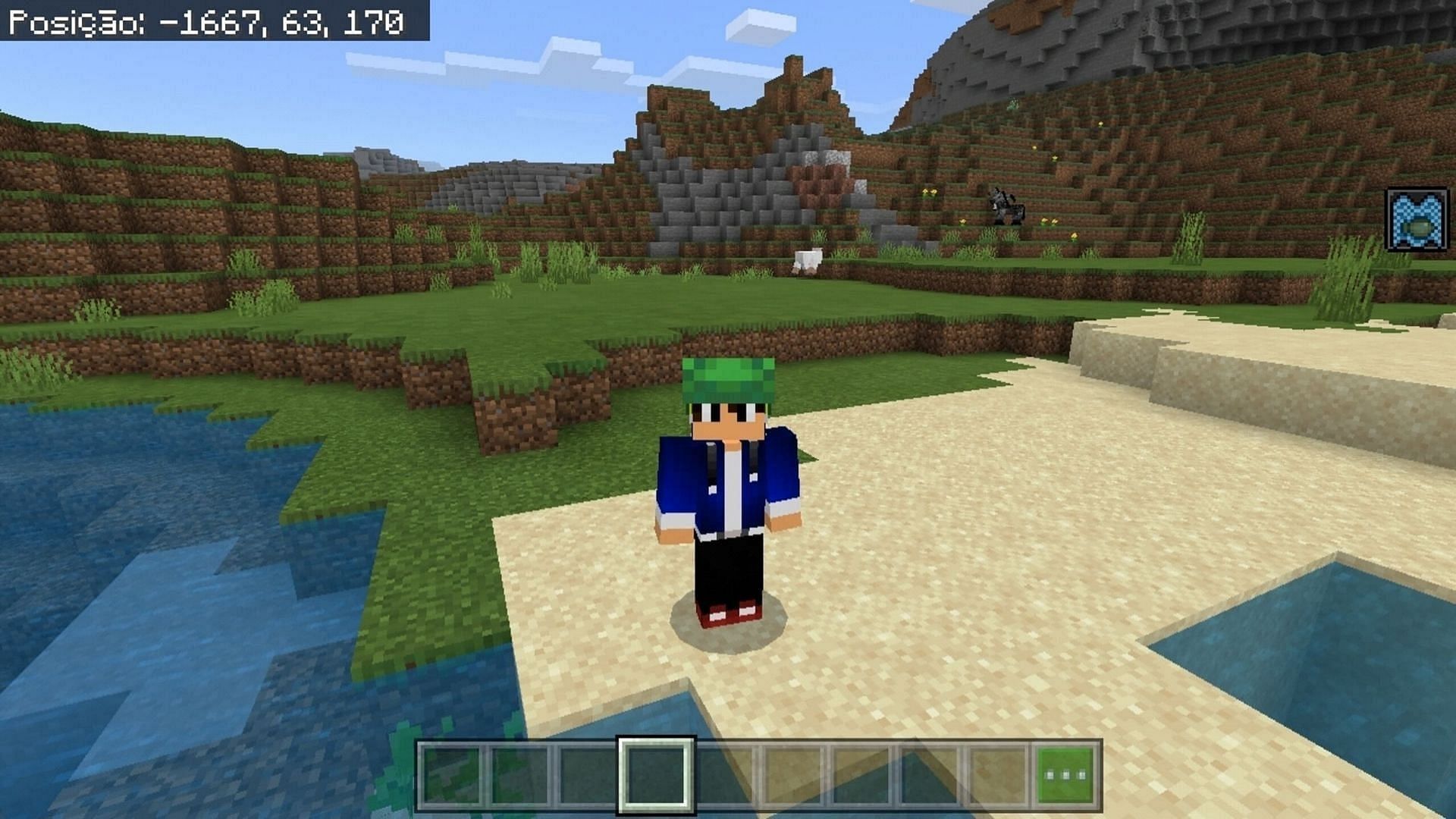 A Minecraft player equipped with a turtle shell as a helmet (Image via Mojang)