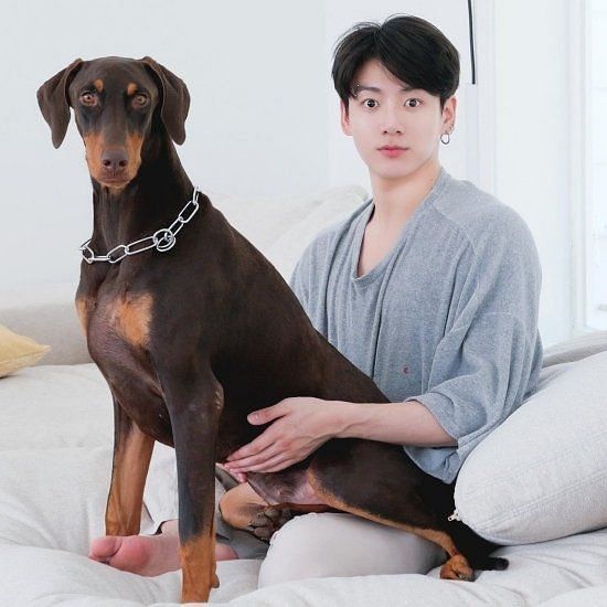 does jimin have a dog