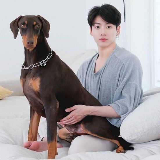 What is the name of Jimin’s dog?