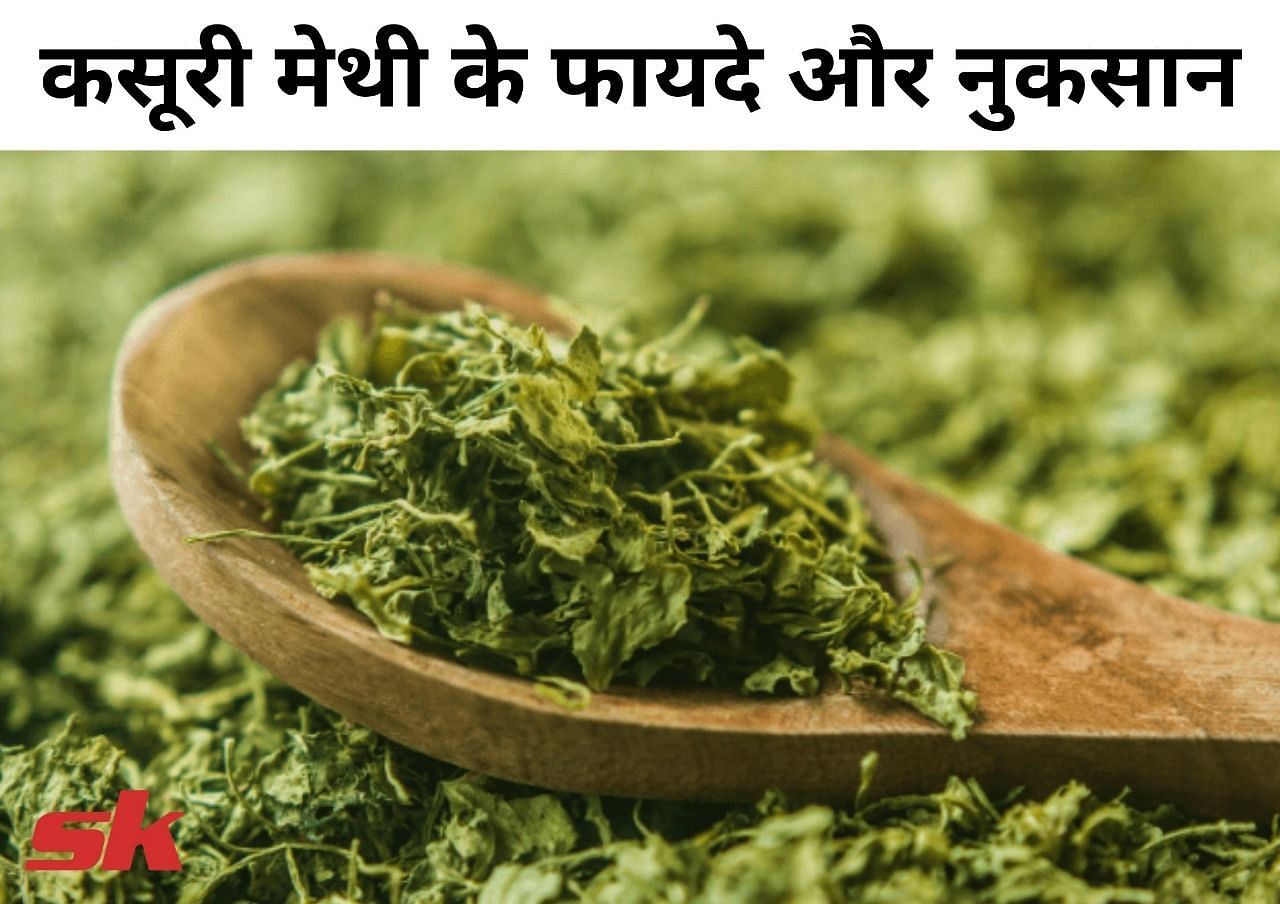 कसूरी मेथी (Kasturi Methi) के फायदे और नुकसान (फोटो - sportskeedaहिन्दी)