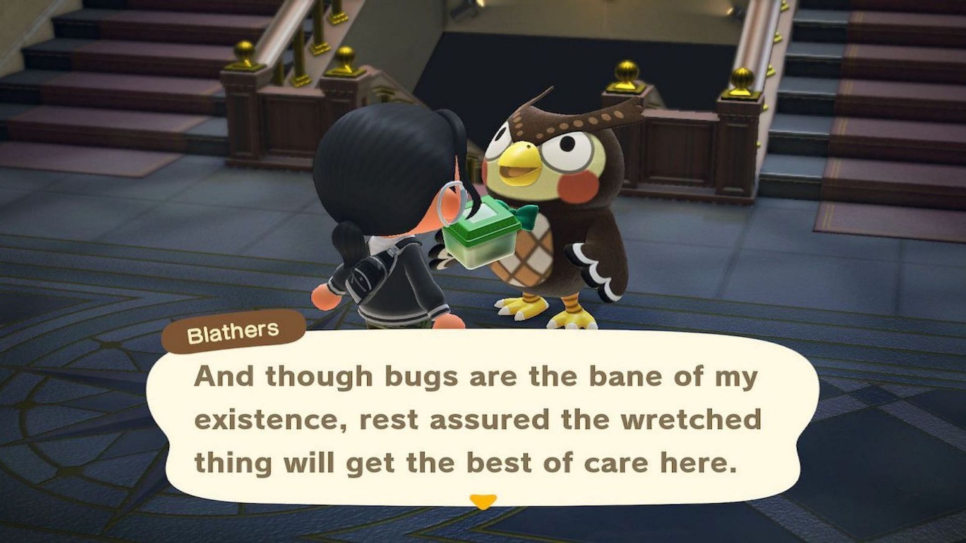 Blathers is terrified of bugs in Animal Crossing: New Horizons (Image via Nintendo)