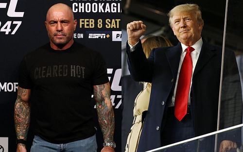 Joe Rogan (left) and Donald Trump (right)