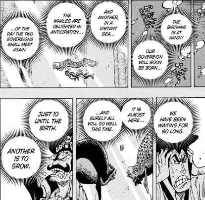 One Piece Chapter 1043 Does The Series Set Luffy Up As A Special Individual