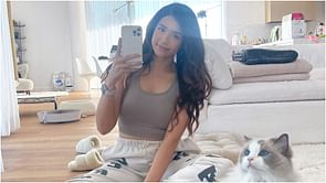 Pokimane posts cute cat video to ask if she should get one more, fans lose their minds
