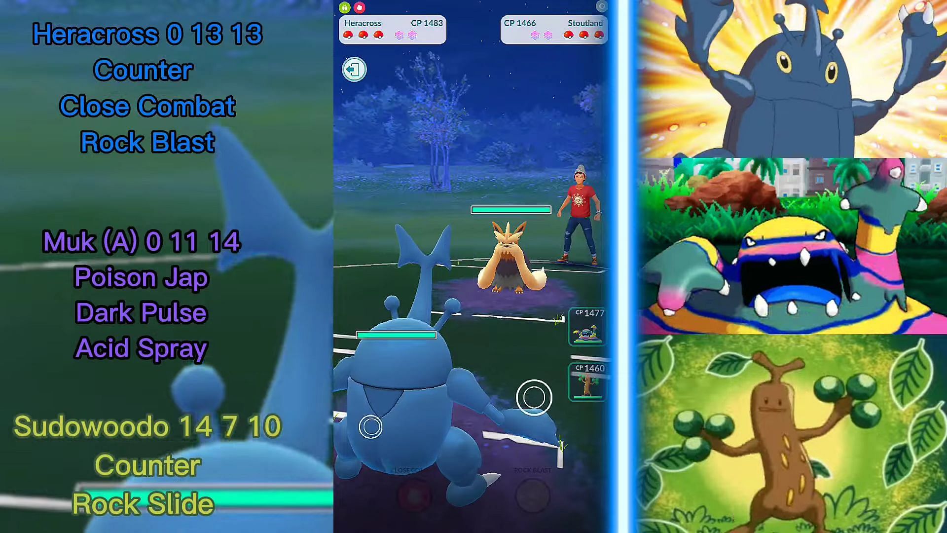 The Catch Cup considerably narrows the potential pool of usable Pokemon (Image via Poke Noob/YouTube)