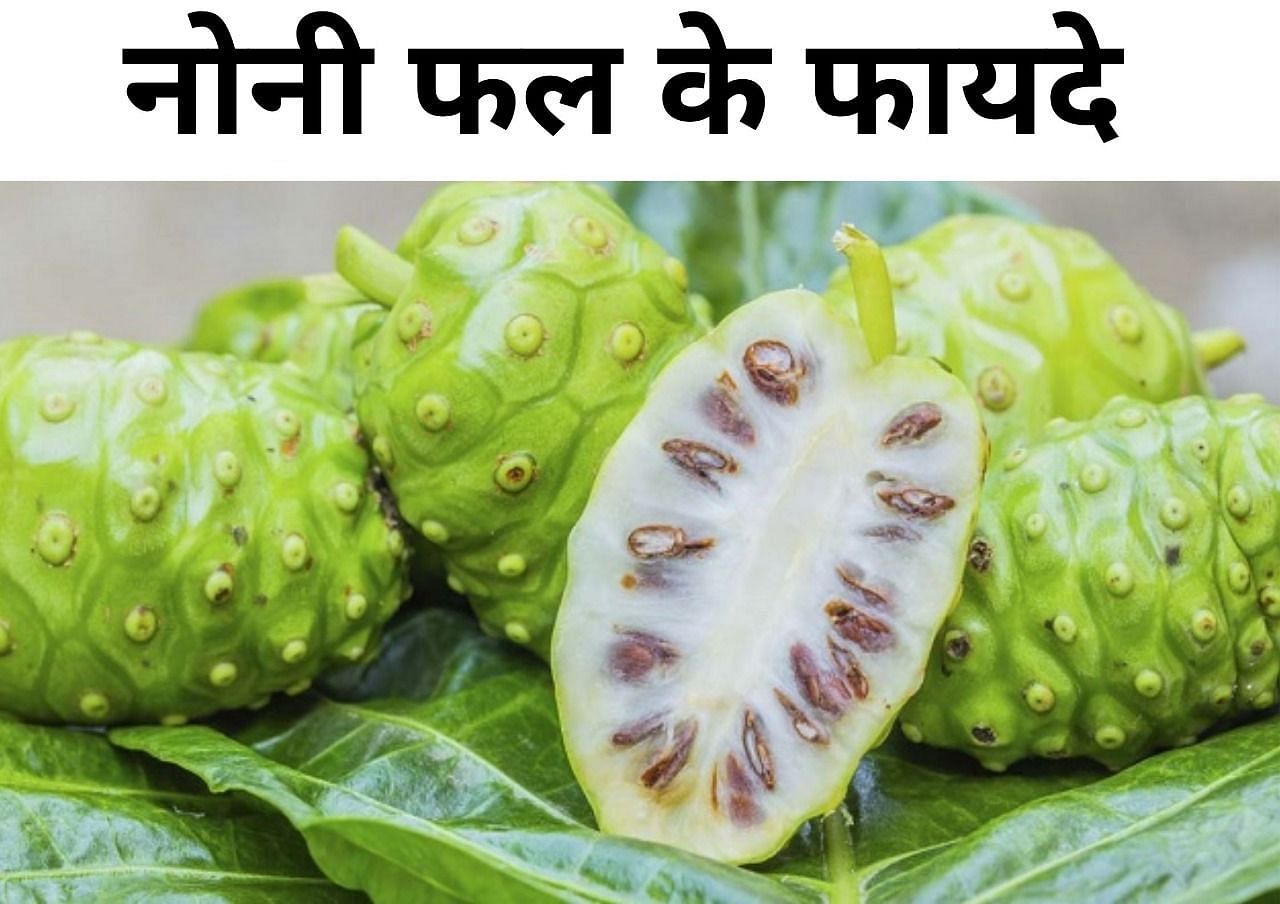 नोनी फल के फायदे (फोटो - sportskeeda hindi)