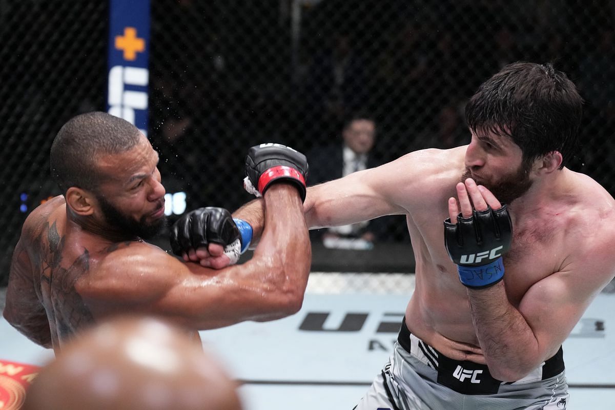 Magomed Ankalaev should be ready for a title shot after his win over Thiago Santos last night.