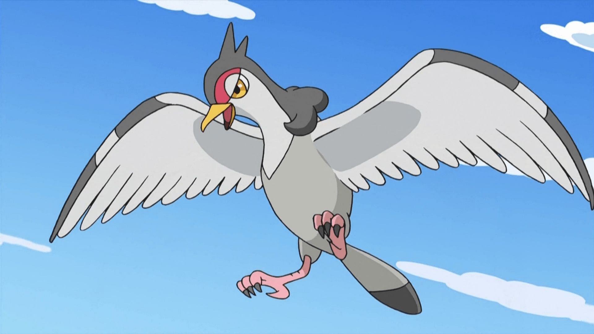 Tranquill as it appears in the anime (Image via The Pokemon Company)