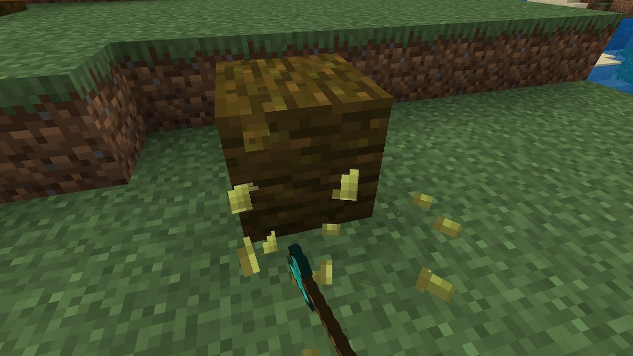 Players can quickly and easily harvest cocoa pods and gather seeds using an axe (Image via Mojang)