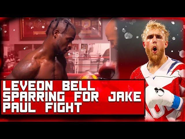 Le'Veon Bell challenges infamously dirty LB to boxing match