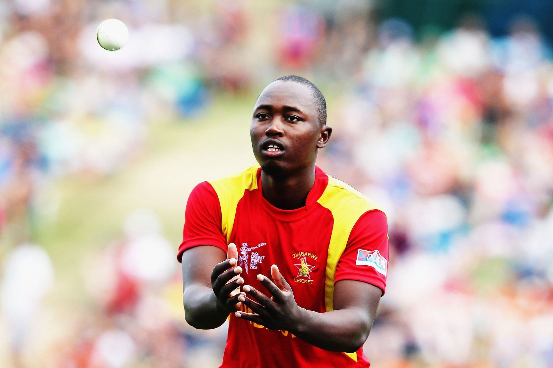 South Africa v Zimbabwe - 2015 ICC Cricket World Cup (Image courtesy: Getty Images)