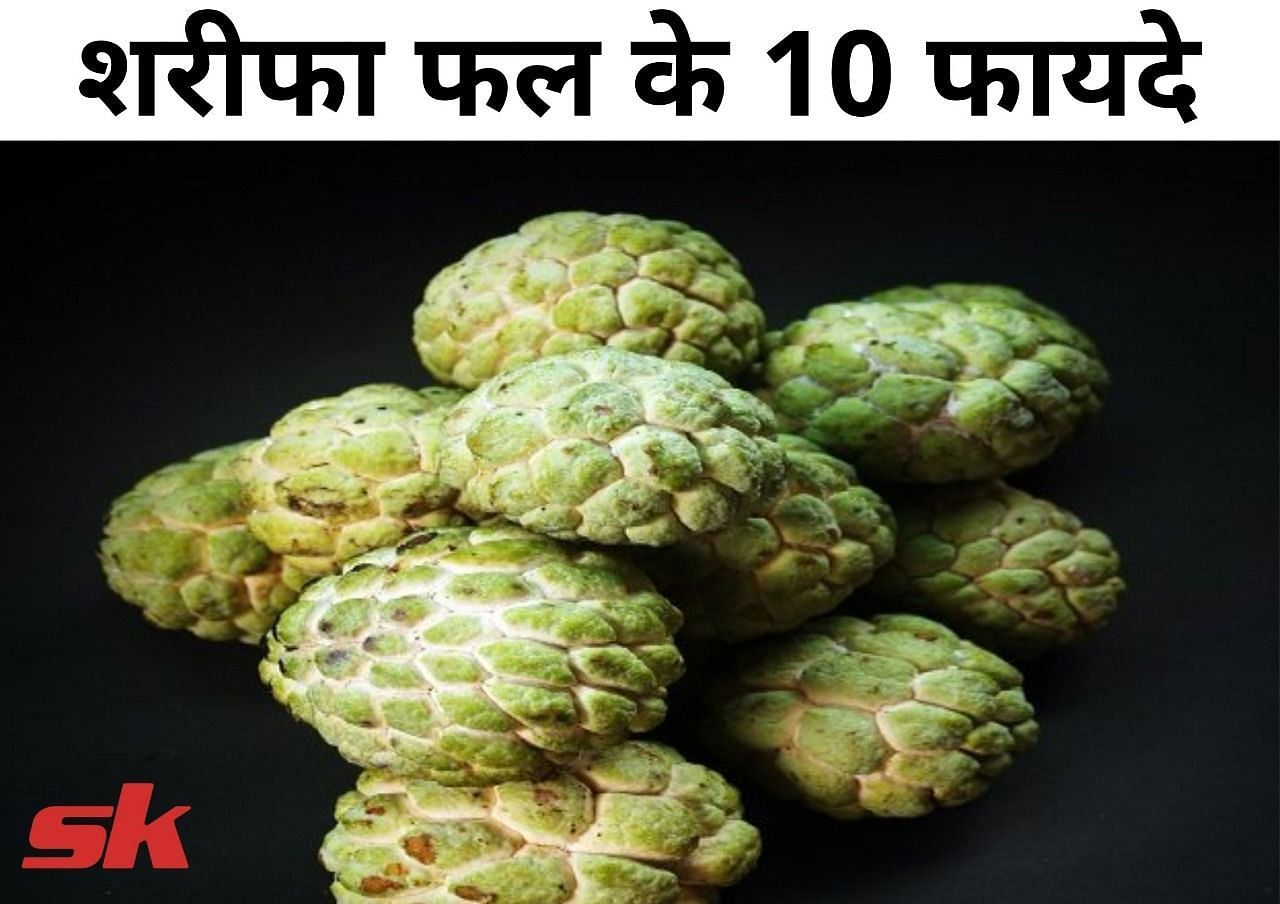 शरीफा फल के 10 फायदे (फोटो - sportskeeda hindi)