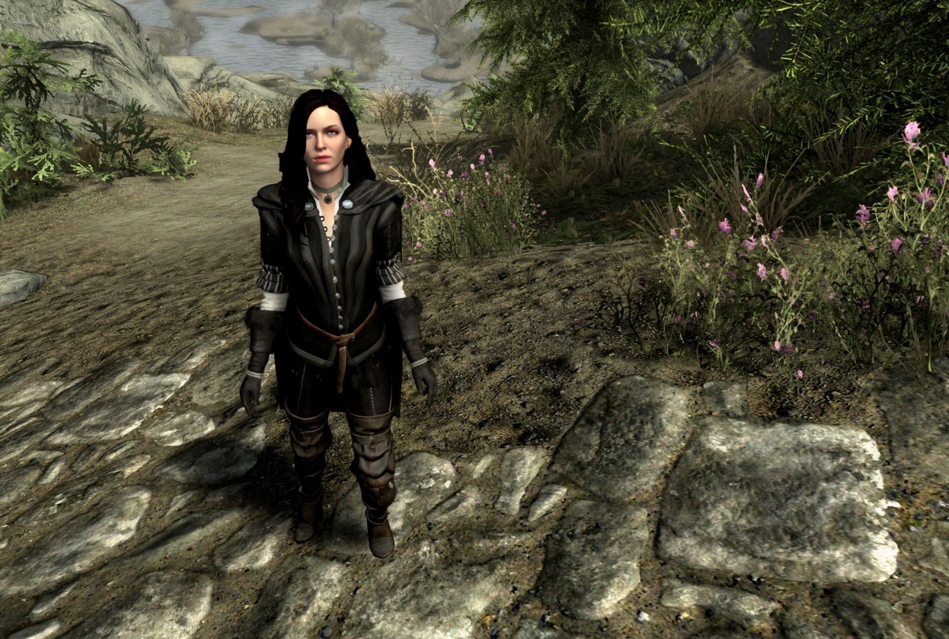 New Skyrim mods are a revolution for the ageing RPG's UI