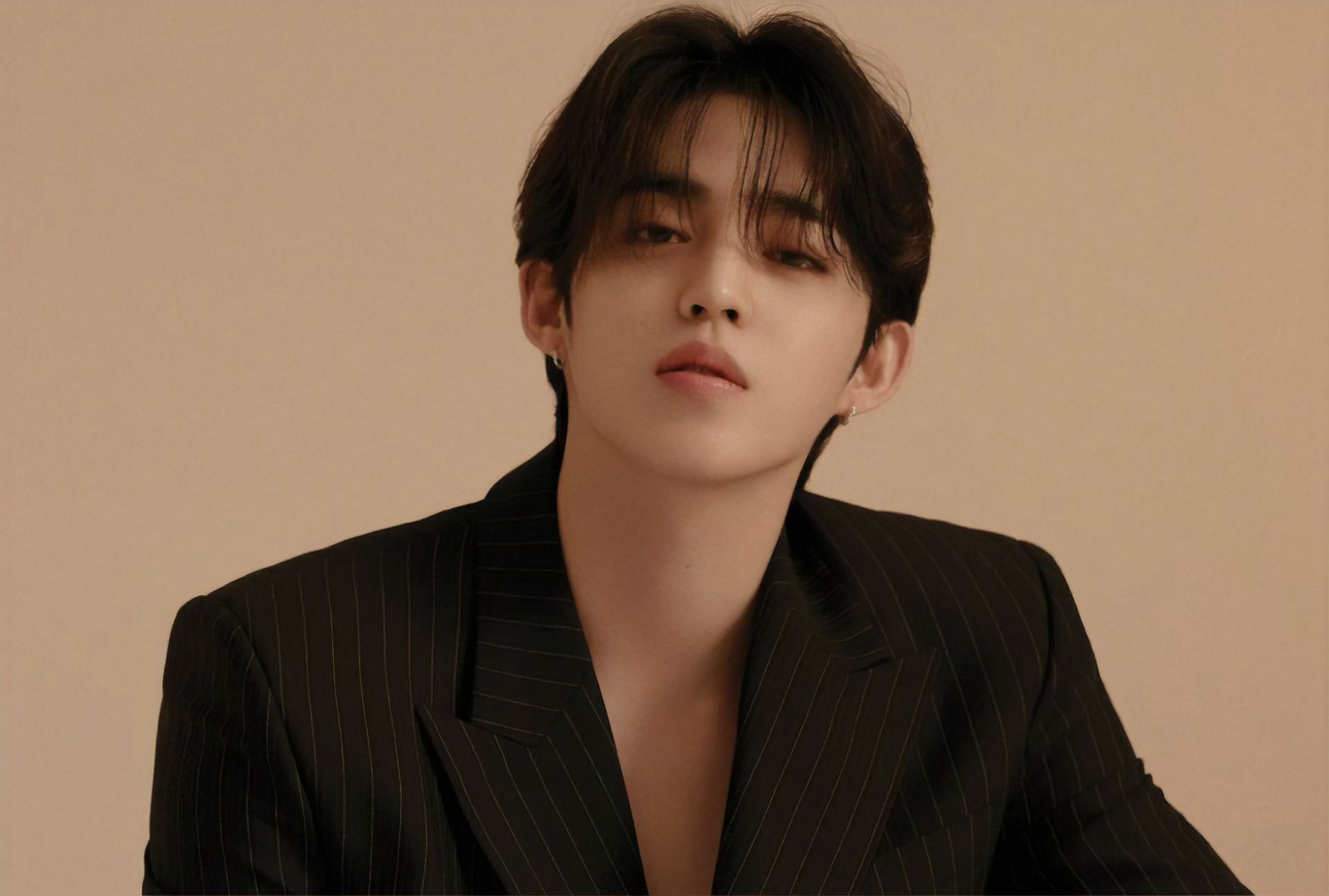 Fans hope for S.Coups&#039; speedy recovery (Image via Twitter/@pledis_17)