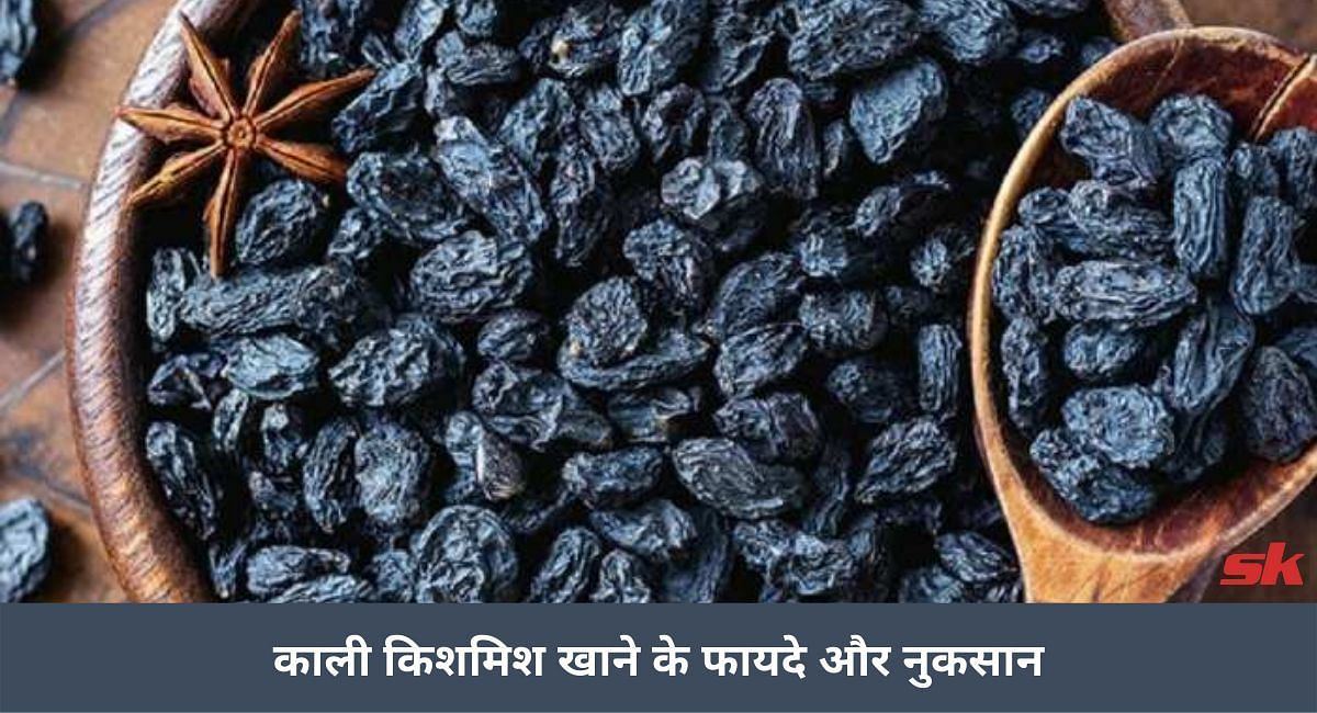 काली किशमिश खाने के फायदे और नुकसान(फोटो-Sportskeeda hindi)