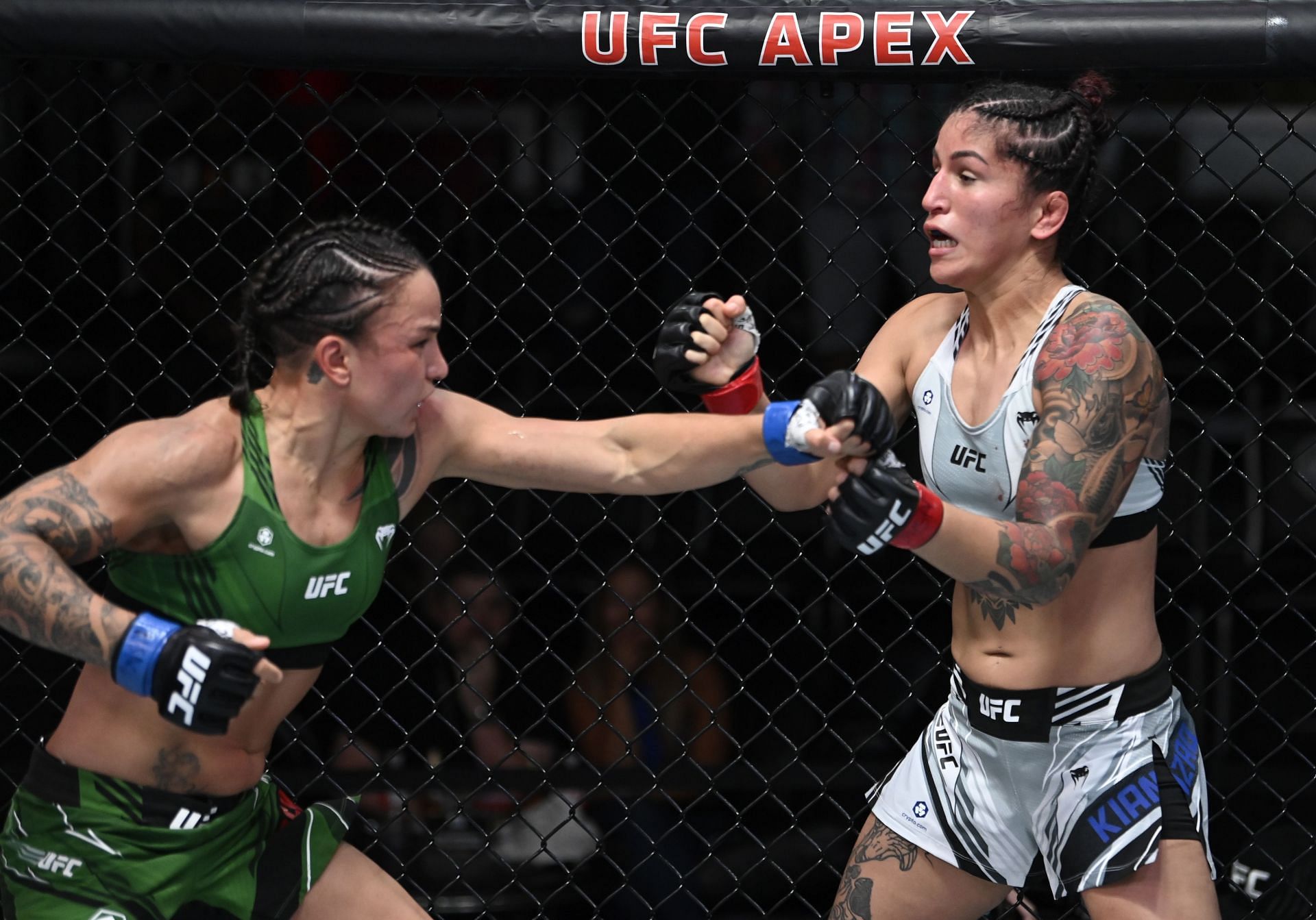 UFC Fight Night: Pannie Kianzad vs. Raquel Pennington