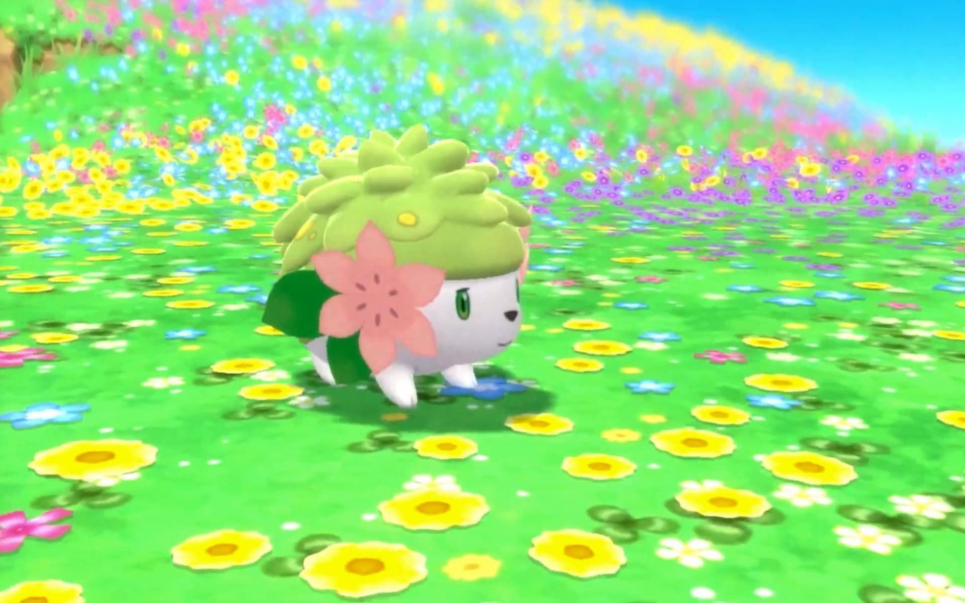 Grass and Gratitude - Catching Shaymin in Pokemon Go