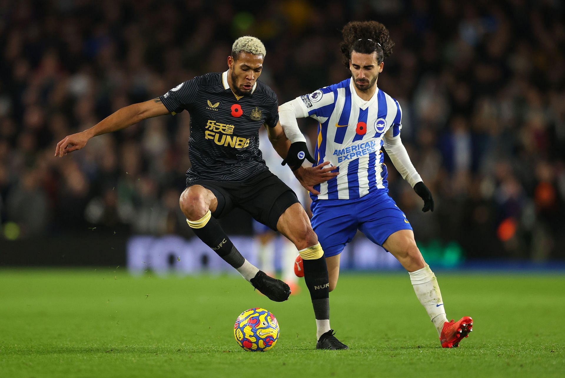 Newcastle United and Brighton and Hove Albion clash on Saturday