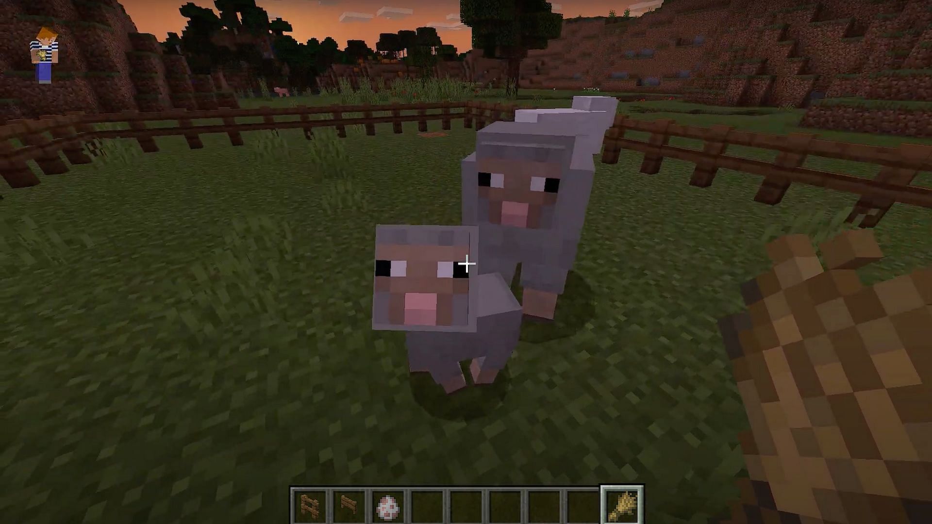 Players can breed lots of different mobs that can help them by providing materials and food (Image via mungosgameroom/YouTube)