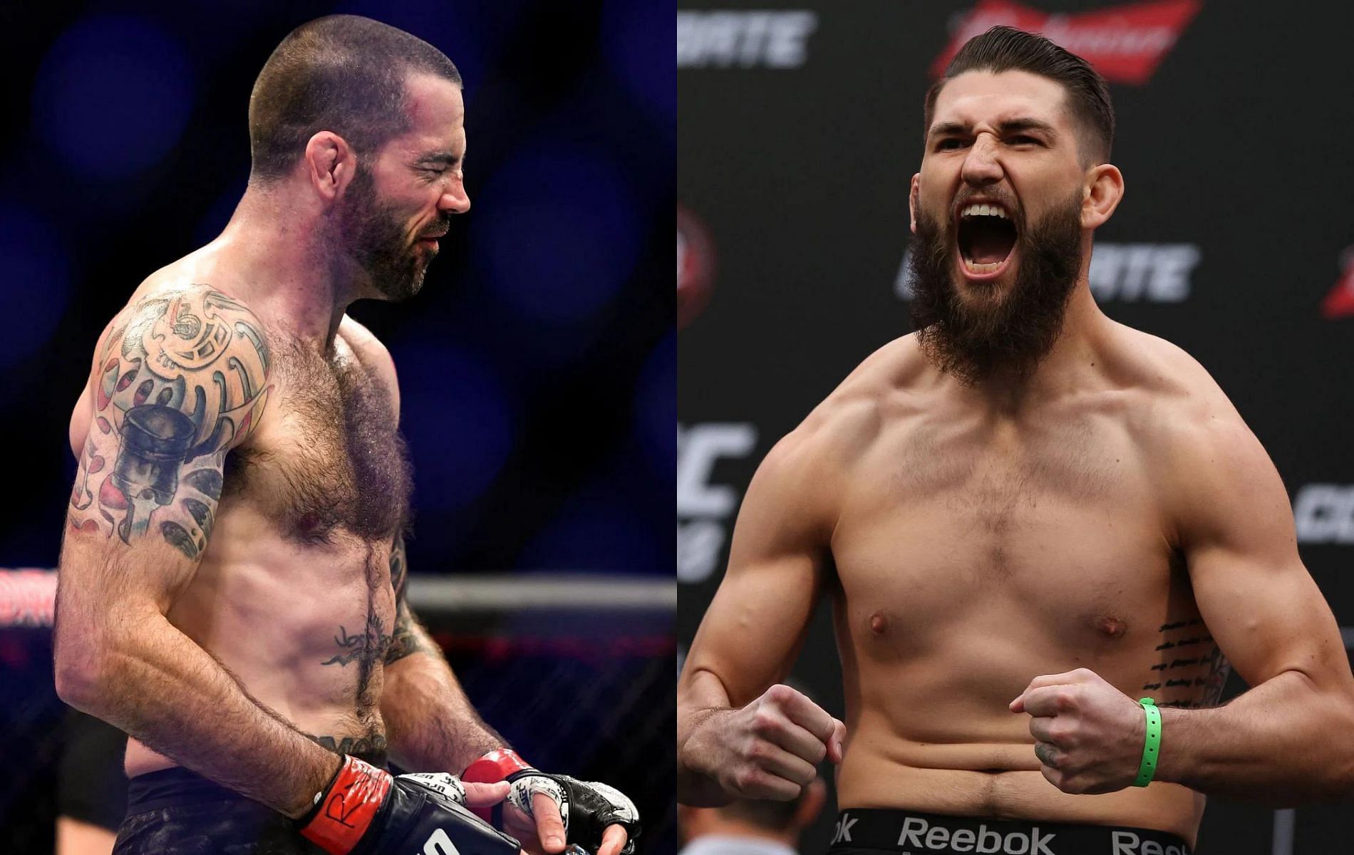 Matt Brown (left) &amp; Bryan Barberena (right)