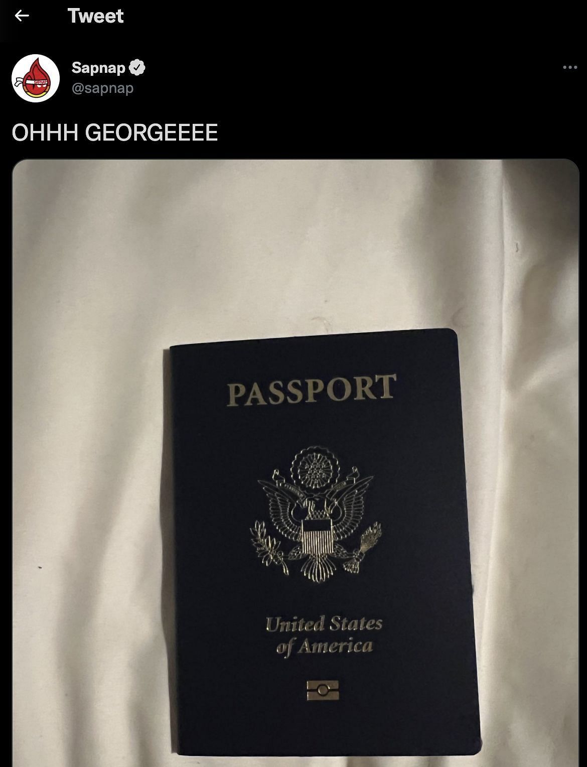 GeorgeNotFound could be traveling to the US (Image via Sapnap/Twitter)