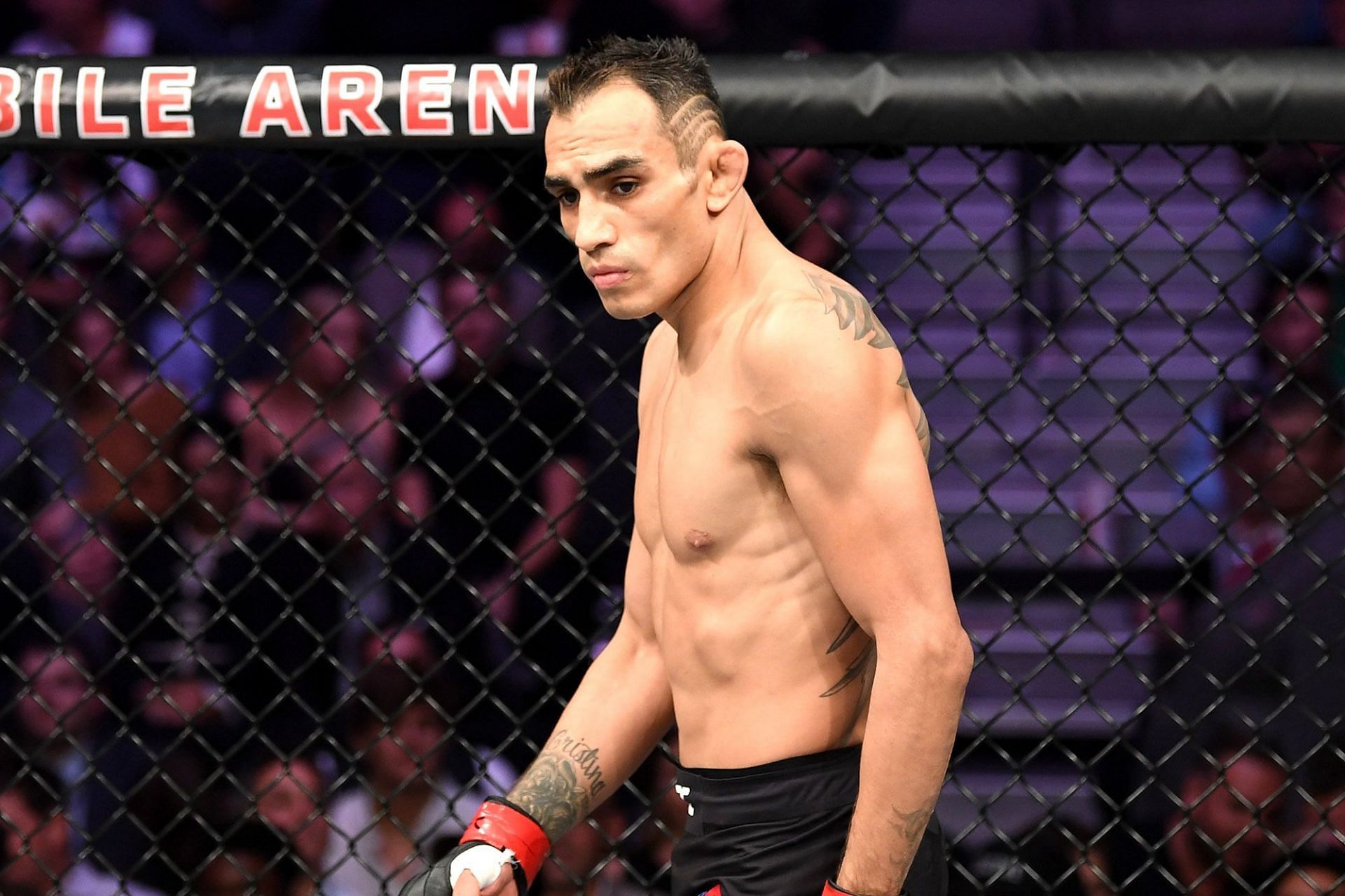 Some of the UFC&#039;s current lightweight stars like Tony Ferguson are beginning to get old