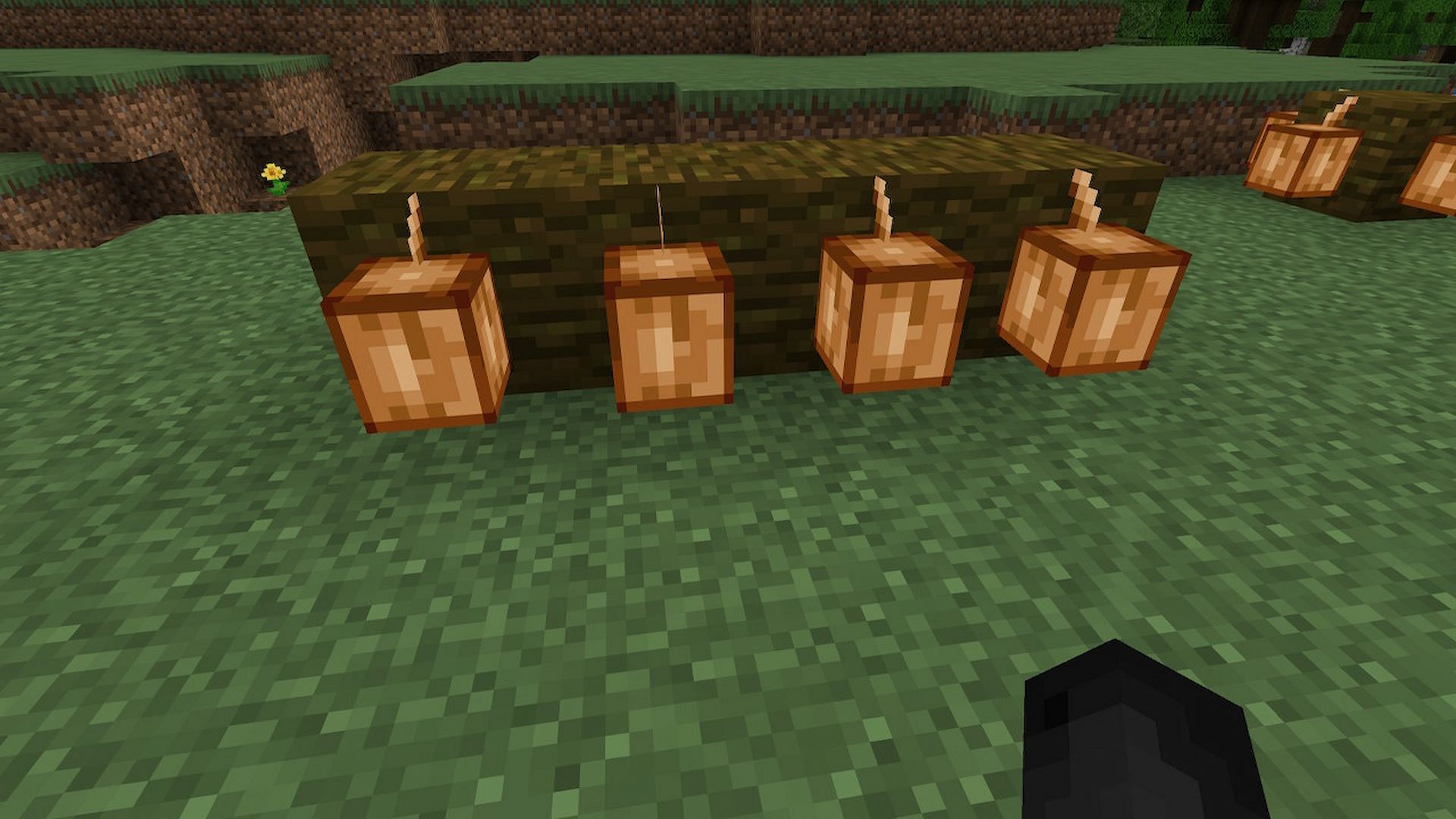 Players can grow cocoa pods very easily and have a cocoa bean farm (Image via Minecraft)