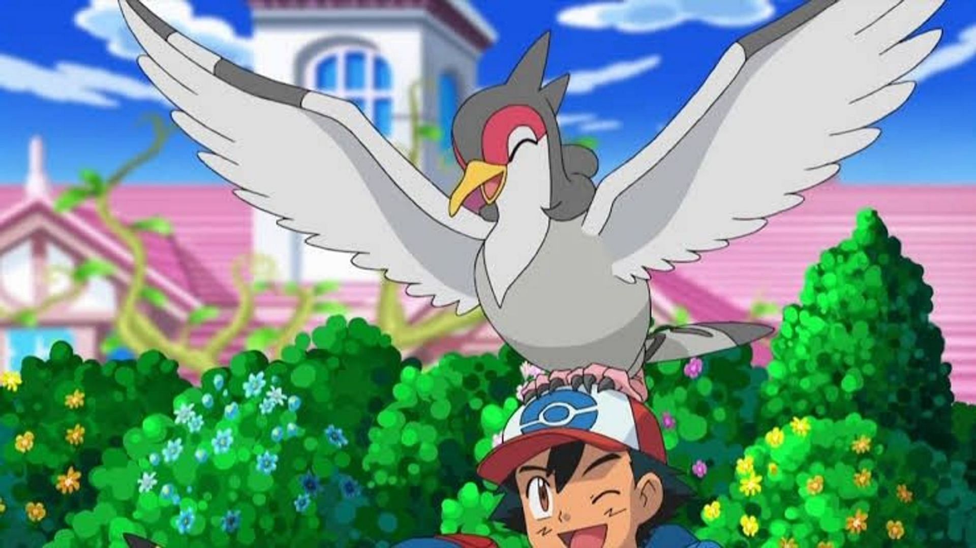 Ash&#039;s Tranquill as it appears in the anime (Image via The Pokemon Company)