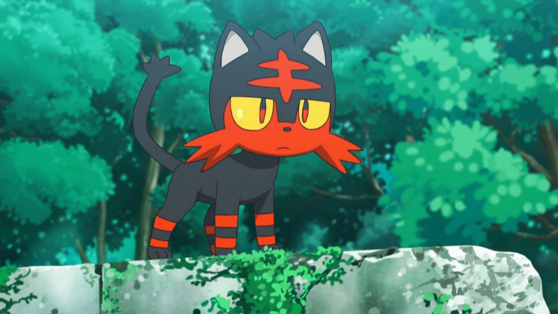 Litten as it appears in the anime (Image via The Pokemon Company)